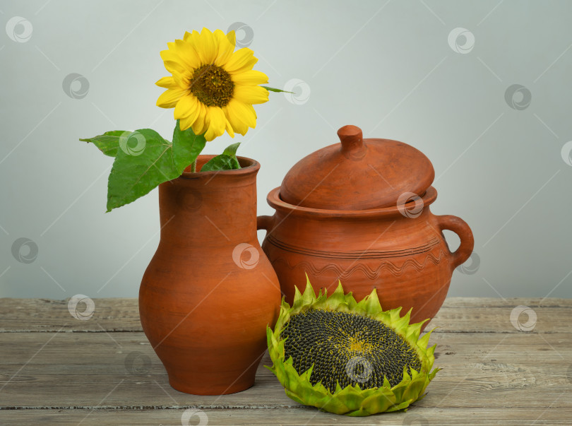 Скачать Натюрморт с деревенской глиняной посудой и цветущими и спелыми подсолнухами фотосток Ozero