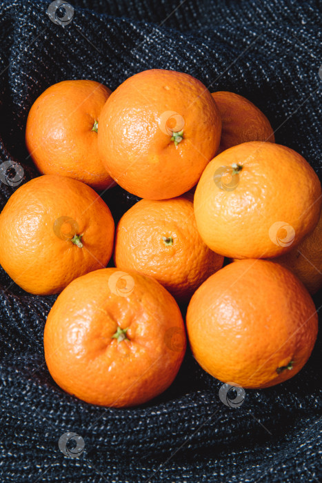 Скачать Мандарины Апельсин Цитрусовые Фрукты темное трикотажное полотно Новогодний Рождественский натюрморт фотосток Ozero