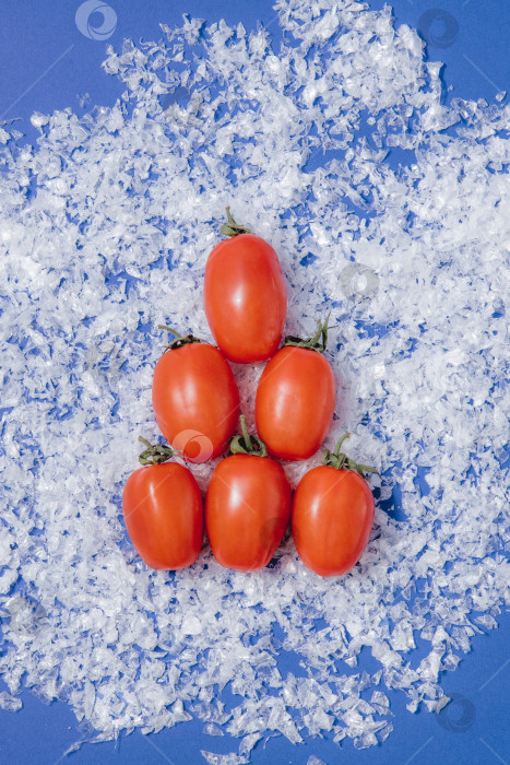 Скачать Красный помидор овощ черри на снегу сугроб Новогодняя елка натюрморт фотосток Ozero