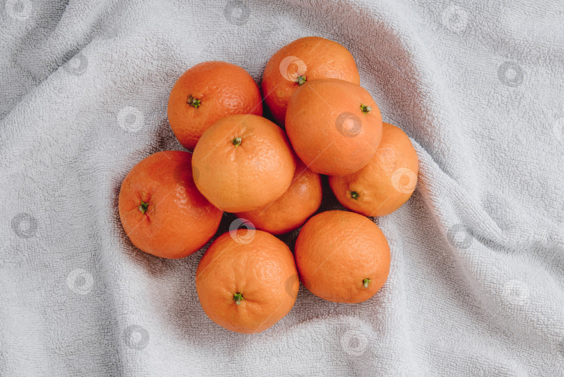 Скачать Мандарины, Апельсиновые цитрусовые на белой ткани, Новогодне-рождественский натюрморт фотосток Ozero