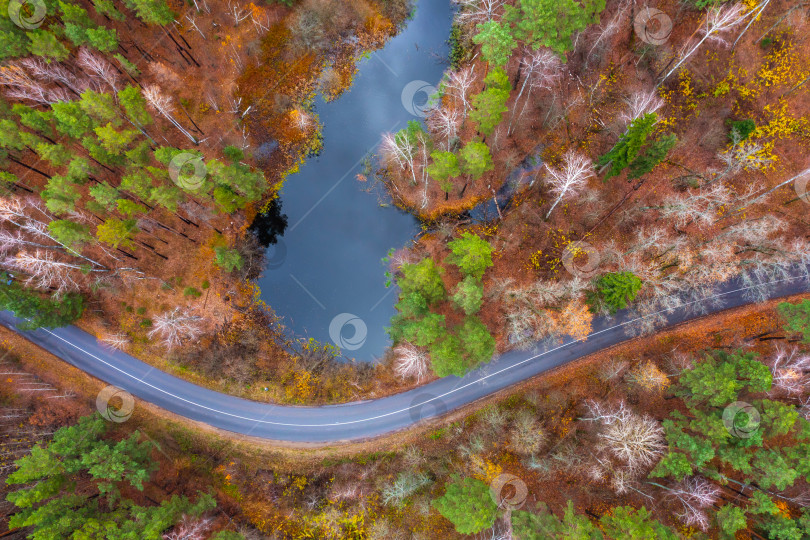 Скачать Аэрофотосъемка лесного озера среди осеннего леса и извилистой дороги крупным планом фотосток Ozero