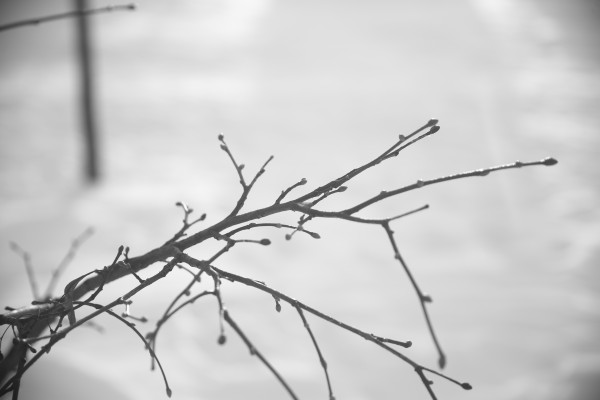 [object Object] undefined
