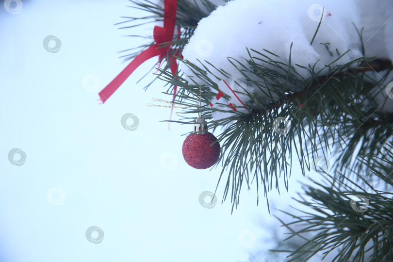 Скачать Снежный лес и куст ели с новогодней игрушкой фотосток Ozero