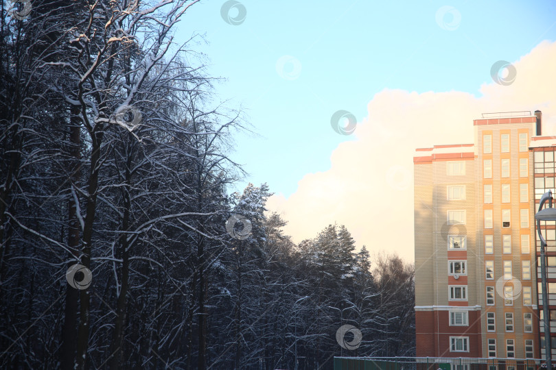 Скачать Дома, деревья и улица в снегу фотосток Ozero