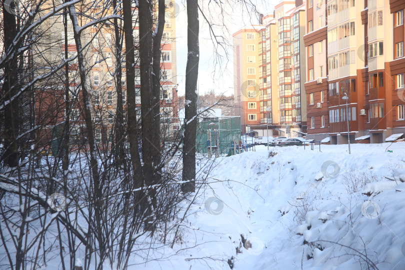 Скачать Растения и дома в снегу фотосток Ozero