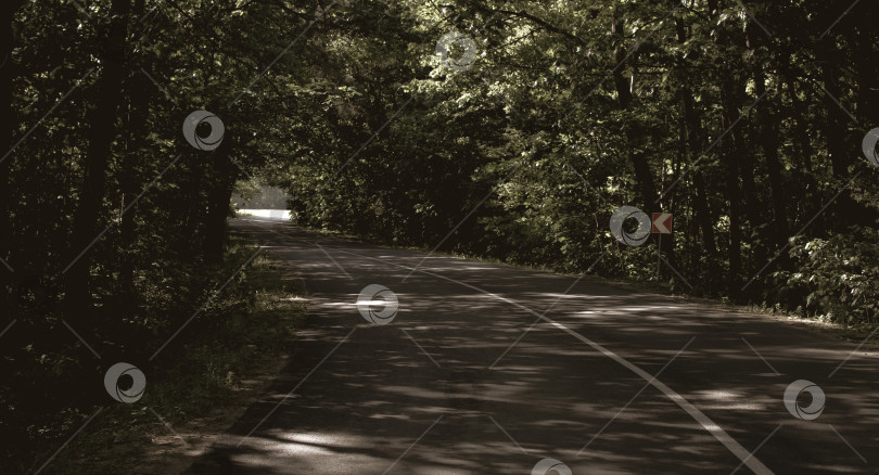 Скачать Фрагмент шоссе в лесу фотосток Ozero