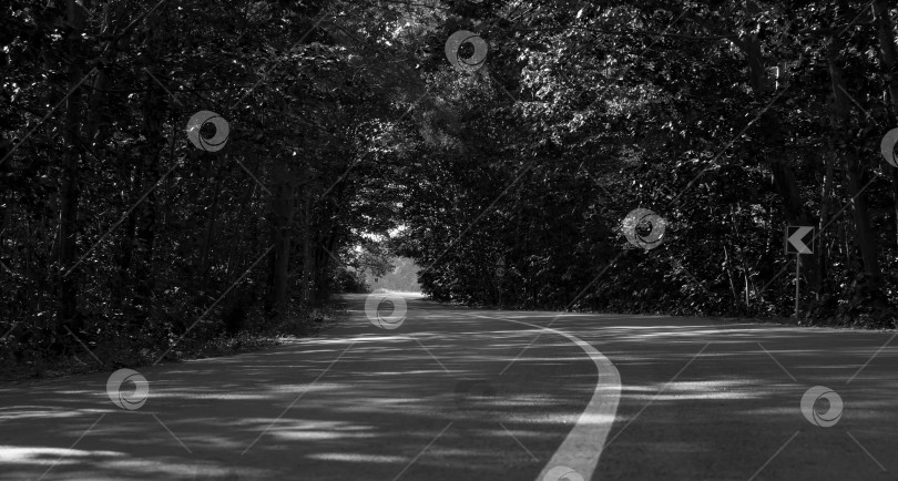 Скачать Фрагмент шоссе в лесу фотосток Ozero