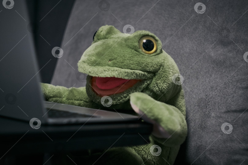 Скачать Плюшевая лягушка читает анекдоты на ноутбуке и смеется фотосток Ozero