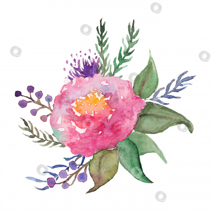 Скачать Акварель, нарисованная вручную розовая роза пион цветок лист ветка ягода цветочная композиция букет изолированное искусство фотосток Ozero