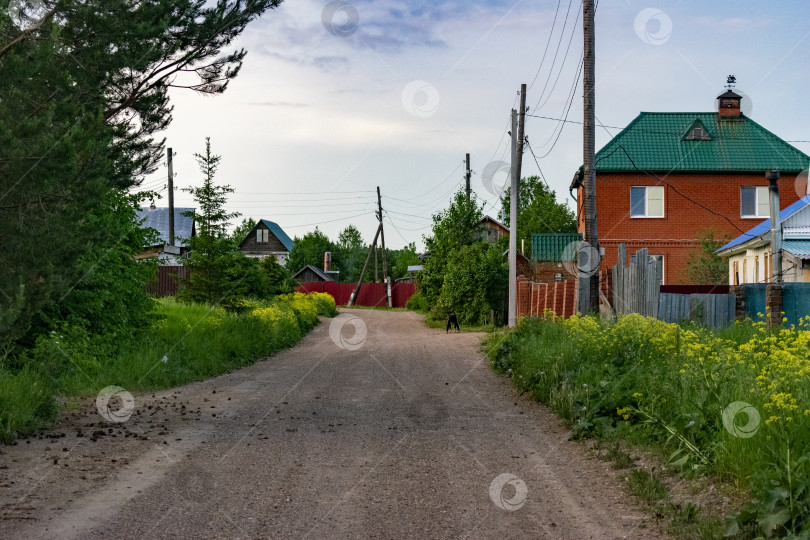 Скачать Сельская дорга фотосток Ozero