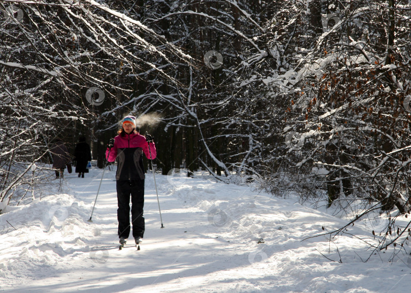 Скачать Девушка-лыжница катается на лыжах по заснеженному парку в морозный зимний день. фотосток Ozero