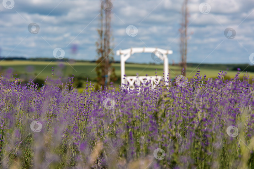 Скачать беседка в цветах фотосток Ozero