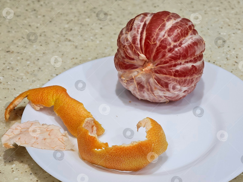 Скачать Красный грейпфрут на белой тарелке. фотосток Ozero