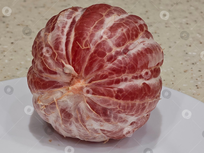 Скачать Красный грейпфрут на белой тарелке. фотосток Ozero