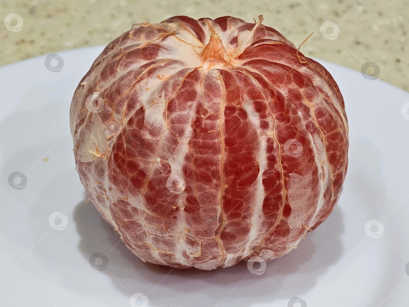 Скачать Красный грейпфрут на белой тарелке. фотосток Ozero