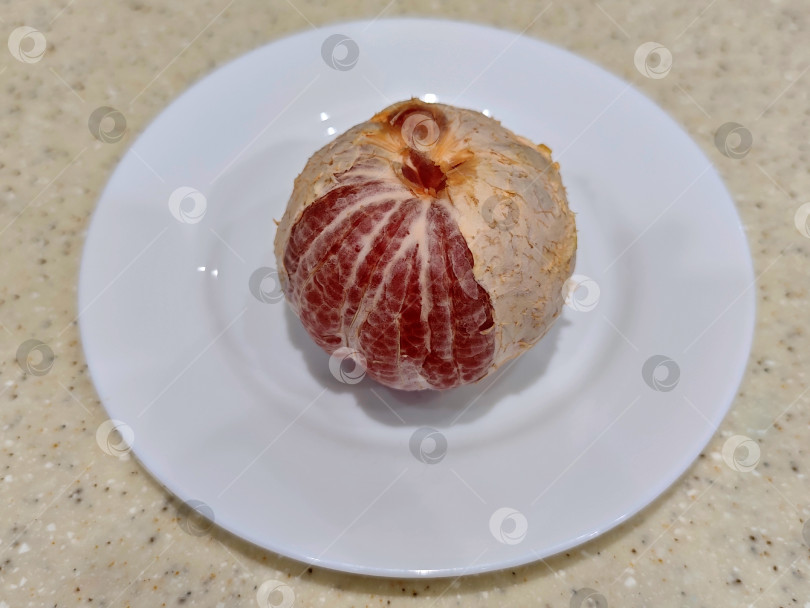 Скачать Красный грейпфрут на белой тарелке. фотосток Ozero