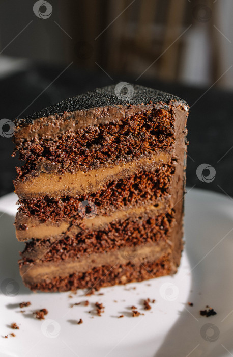 Скачать Шоколадный торт фотосток Ozero