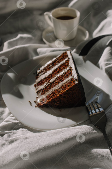 Скачать Шоколадный торт фотосток Ozero