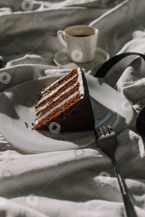 Скачать Шоколадный торт фотосток Ozero