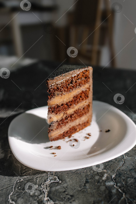 Скачать Шоколадный торт фотосток Ozero