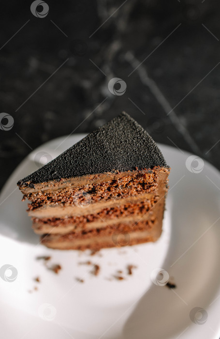 Скачать Шоколадный торт фотосток Ozero