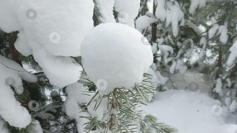 Скачать Снежная зима фотосток Ozero