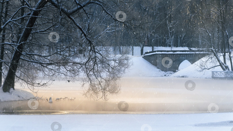 Скачать Заснеженный пейзаж с мостом на заднем плане. Гатчина. фотосток Ozero