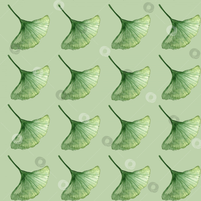 Скачать Акварельный бесшовный рисунок от руки с зелеными листьями гинкго фотосток Ozero
