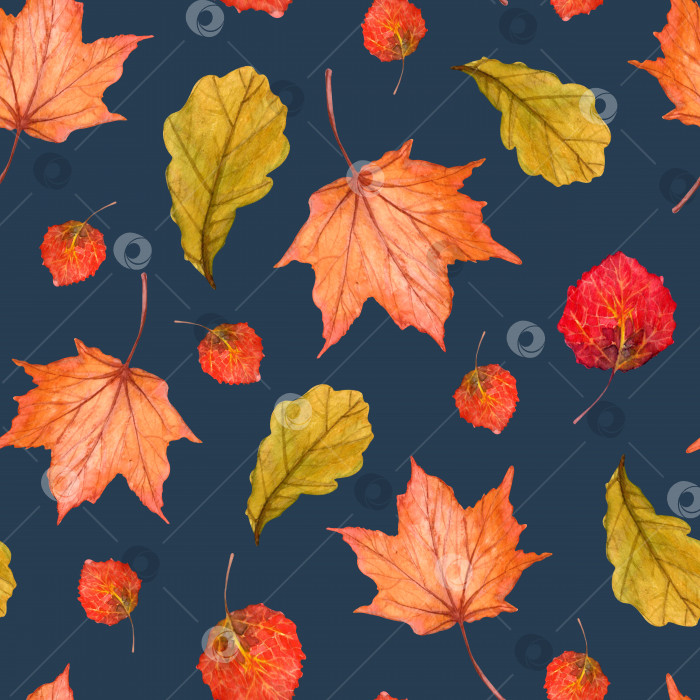 Скачать Акварельный бесшовный рисунок от руки с зелеными и красными листьями разных деревьев: дуба, осины, клена фотосток Ozero