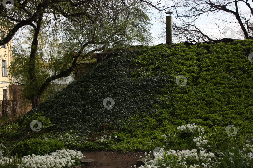 Скачать Ботанический сад весной фотосток Ozero