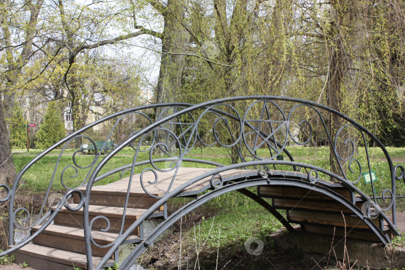 Скачать Мост в Ботаническом саду фотосток Ozero