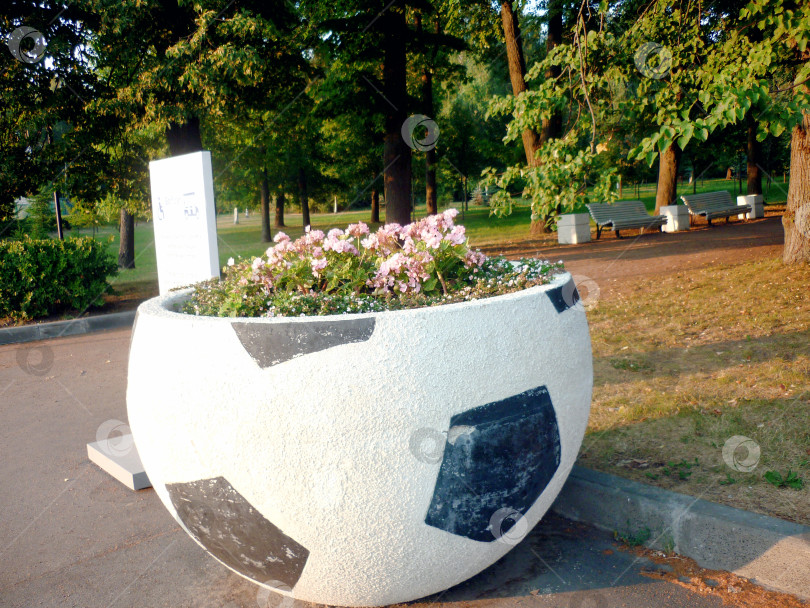 Скачать Клумба в форме футбольного мяча фотосток Ozero