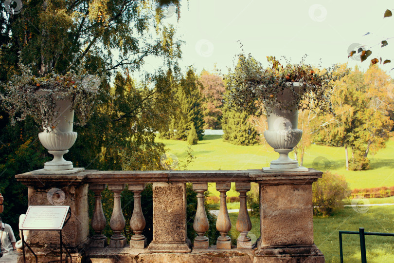 Скачать Вазы в парке Павловска фотосток Ozero