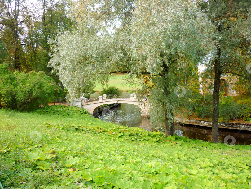 Скачать Мост в парке Павловска фотосток Ozero