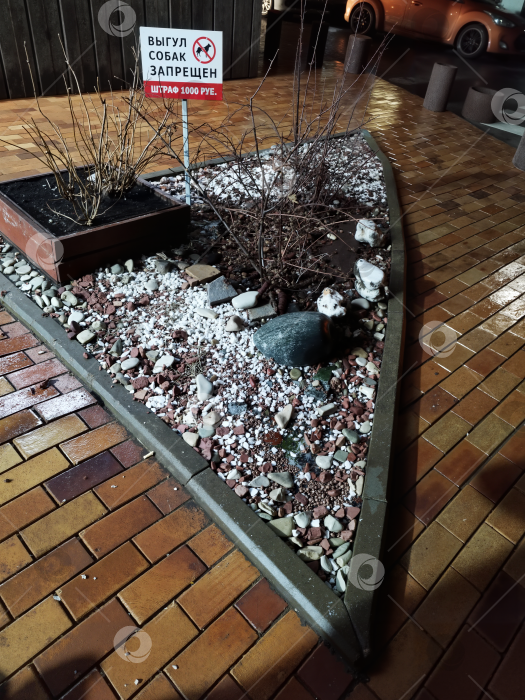 Скачать Запрещающий знак "Выгул собак запрещён. Штраф 1000 руб." на клумбе с декоративными камнями, для городского озеленения. Москва 2025 год фотосток Ozero