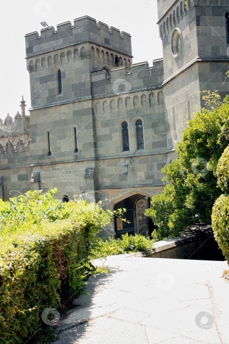 Скачать Ботанический сад в Ялте фотосток Ozero