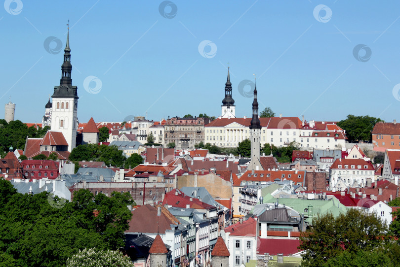 Скачать Крыши в Эстонии фотосток Ozero