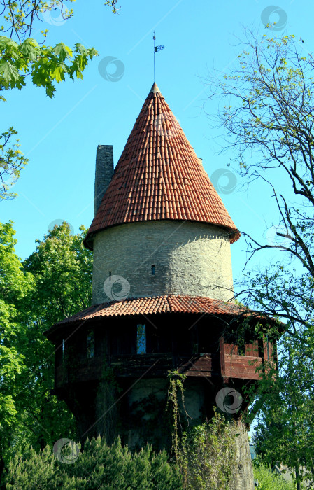 Скачать Здание фотосток Ozero