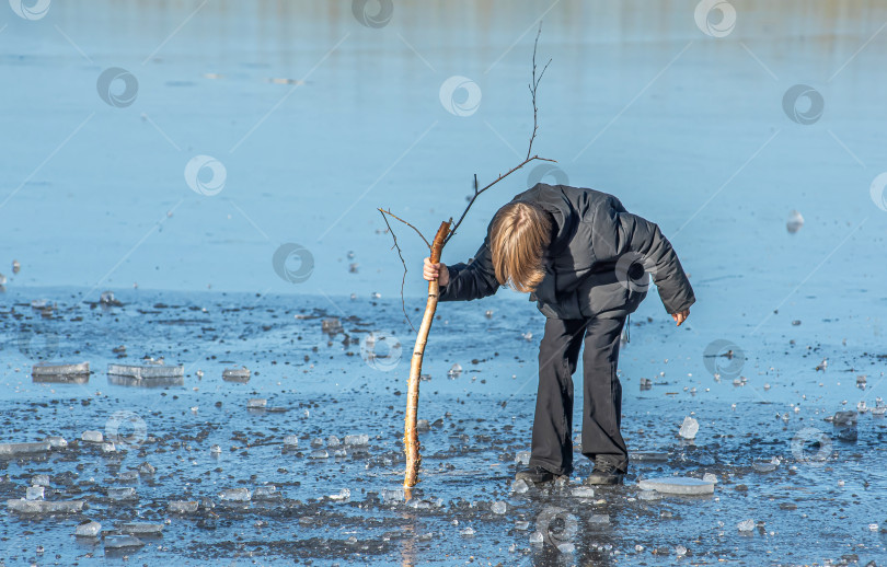 Скачать Россия,Сибирь 08 августа 2025 год.Мальчик на льду пытается пробить палкой лед фотосток Ozero