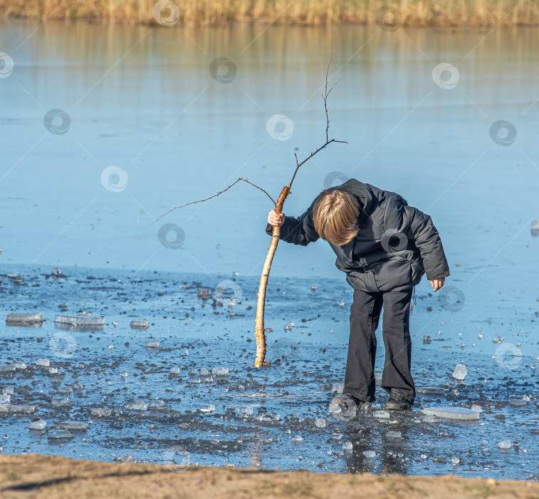 Скачать Россия,Сибирь 08 августа 2025 год.Мальчик на льду пытается пробить палкой лед фотосток Ozero