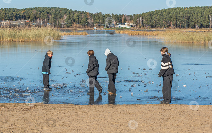 Скачать Россия,Сибирь 08 августа 2025 год.Дети опасно играют на первом тонком льду и пытаются его пробить фотосток Ozero