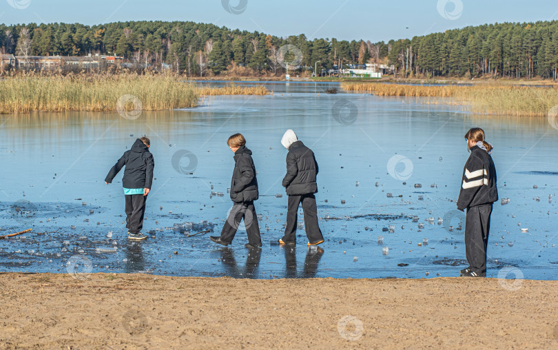 Скачать Россия,Сибирь 08 августа 2025 год.Дети опасно играют на первом тонком льду и пытаются его пробить фотосток Ozero