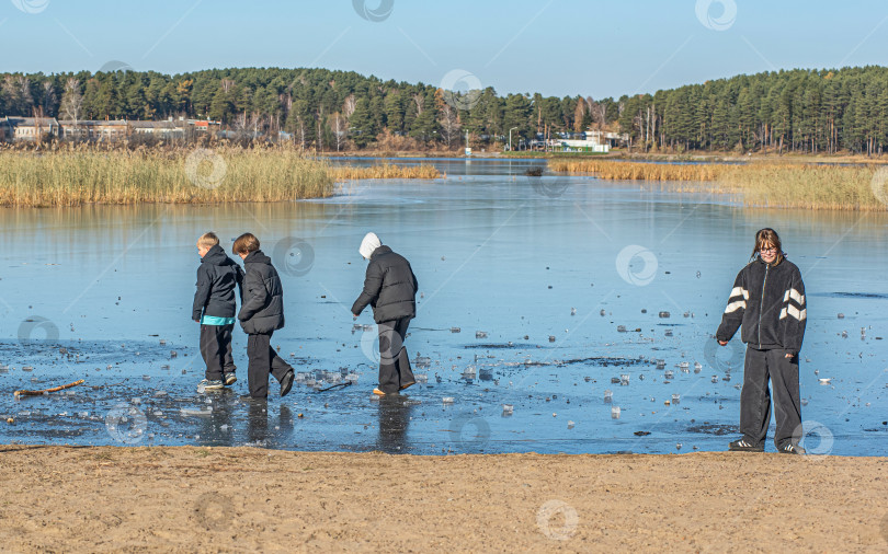 Скачать Россия,Сибирь 08 августа 2025 год.Дети опасно играют на первом тонком льду и пытаются его пробить фотосток Ozero