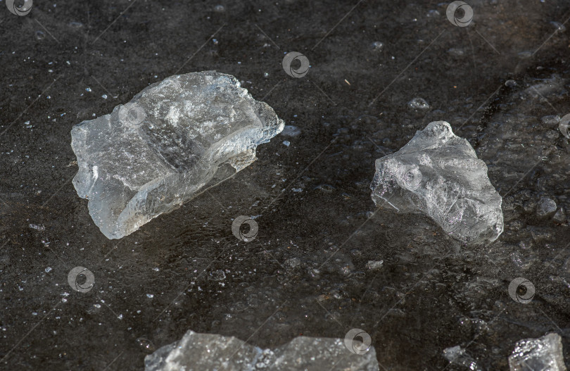 Скачать два прозрачных кусочка льда на тёмной поверхности. Лёд имеет неровные края и полупрозрачный вид. фотосток Ozero