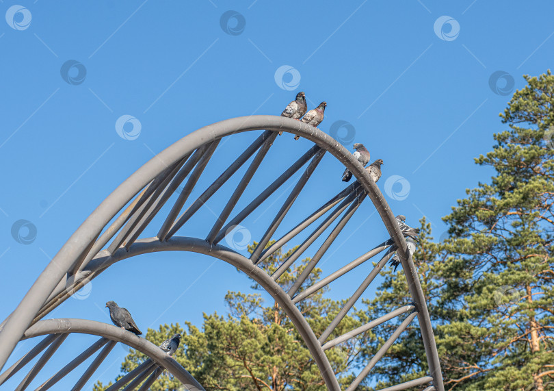 Скачать Металлические арки, на которых сидят голуби. фотосток Ozero