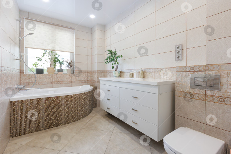 Скачать современная ванная комната с туалетом и стиральной машиной фотосток Ozero