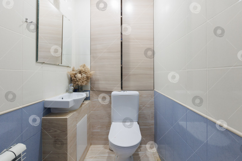 Скачать современная ванная комната с туалетом и стиральной машиной фотосток Ozero