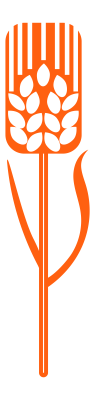 [object Object] undefined