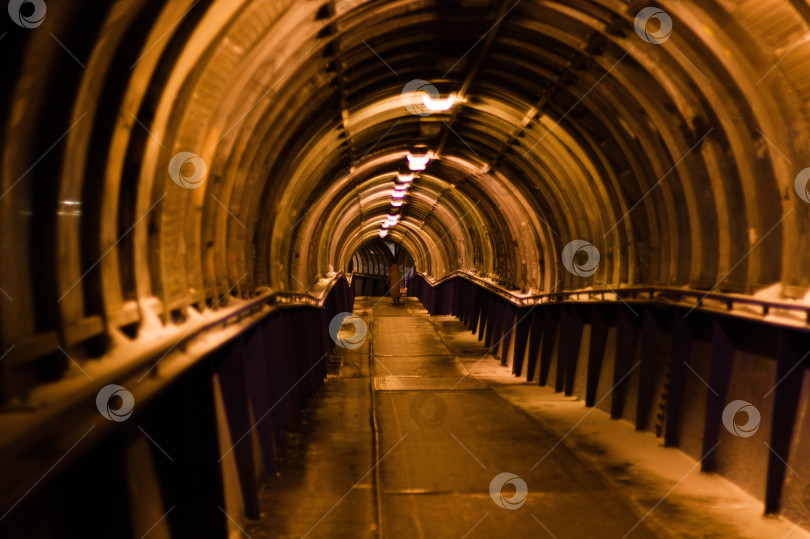 Скачать запоздалая пассажирка фотосток Ozero