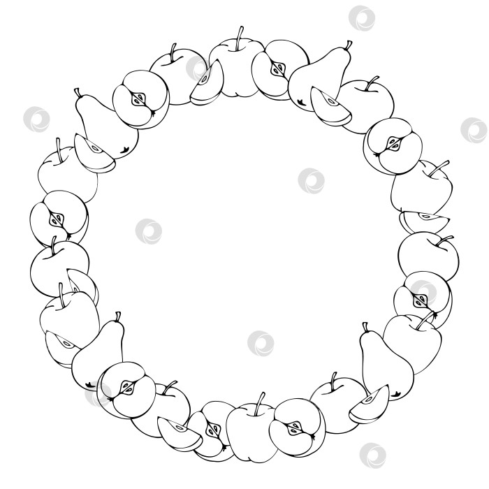 Скачать круглая рамка из яблок и груш, контурный узор, нарисованный от руки в мультяшном стиле. фотосток Ozero